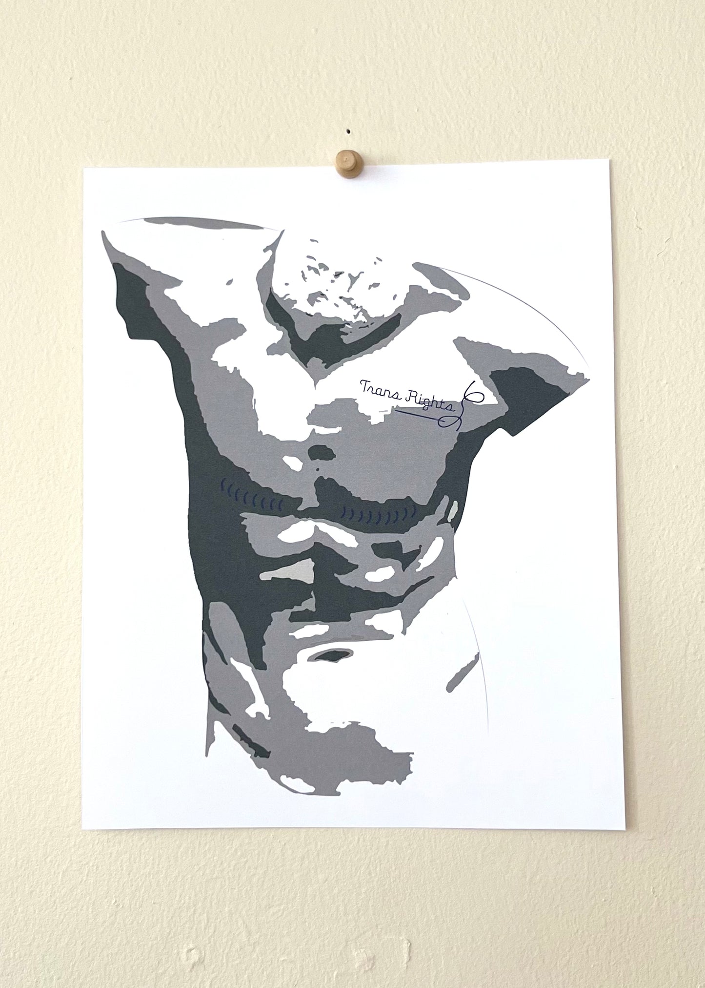 Trans Rights Print